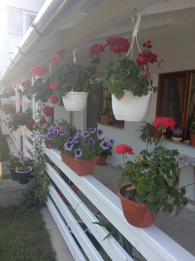 Cazare Turism Prislop Ξενοδοχείο Haţeg Εξωτερικό φωτογραφία